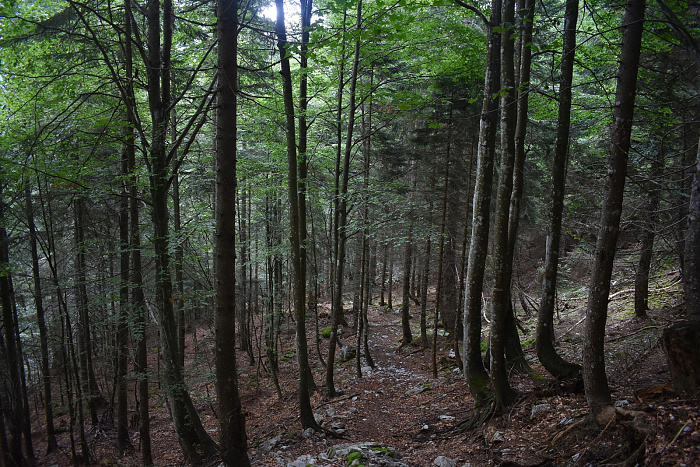 Klicke auf die Grafik für eine vergrößerte Ansicht

Name: DSC_0134.jpg
Ansichten: 90
Größe: 1,13 MB
ID: 3354202