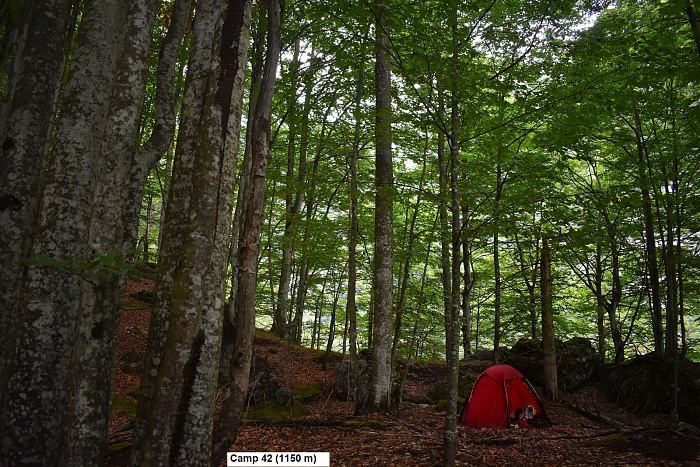 Klicke auf die Grafik für eine vergrößerte Ansicht

Name: DSC_0150.jpg
Ansichten: 90
Größe: 1,06 MB
ID: 3354207