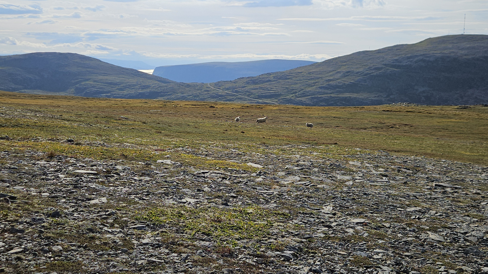 Klicke auf die Grafik für eine vergrößerte Ansicht

Name: 20250903_104925 flaches Gelände drei Schafe.jpg
Ansichten: 0
Größe: 939,7 KB
ID: 3354257