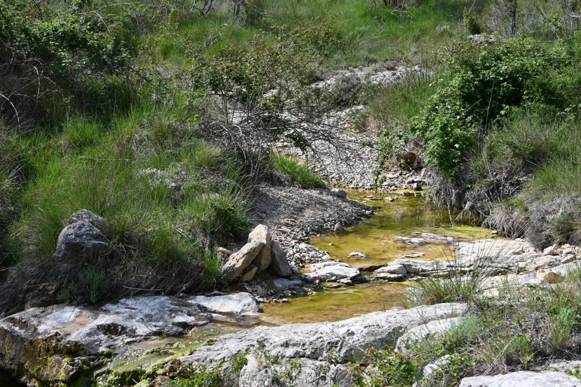 Klicke auf die Grafik für eine vergrößerte Ansicht

Name: DSC_2474.jpg
Ansichten: 38
Größe: 420,3 KB
ID: 3354278