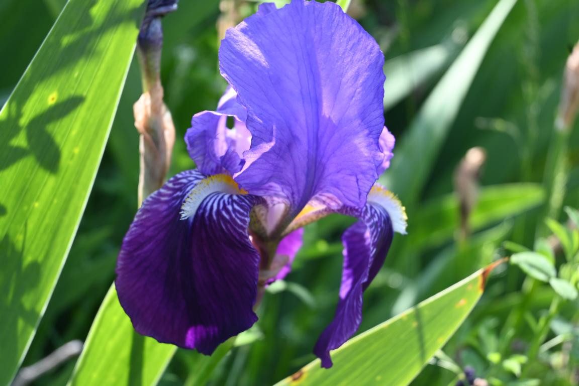 Klicke auf die Grafik für eine vergrößerte Ansicht

Name: DSC_2479.jpg
Ansichten: 38
Größe: 158,9 KB
ID: 3354279