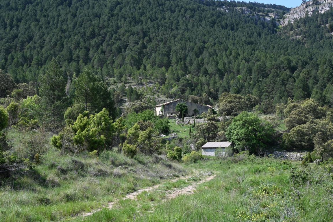 Klicke auf die Grafik für eine vergrößerte Ansicht

Name: DSC_2485.jpg
Ansichten: 38
Größe: 340,0 KB
ID: 3354281