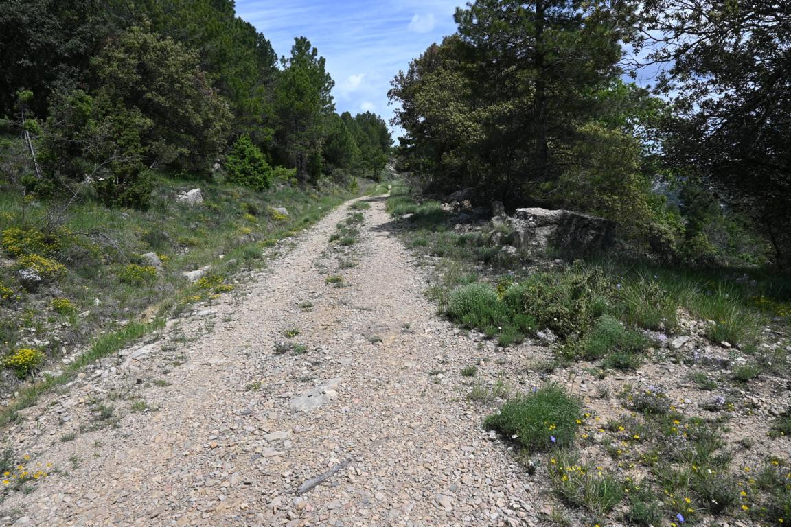 Klicke auf die Grafik für eine vergrößerte Ansicht

Name: DSC_2489.jpg
Ansichten: 38
Größe: 377,4 KB
ID: 3354282