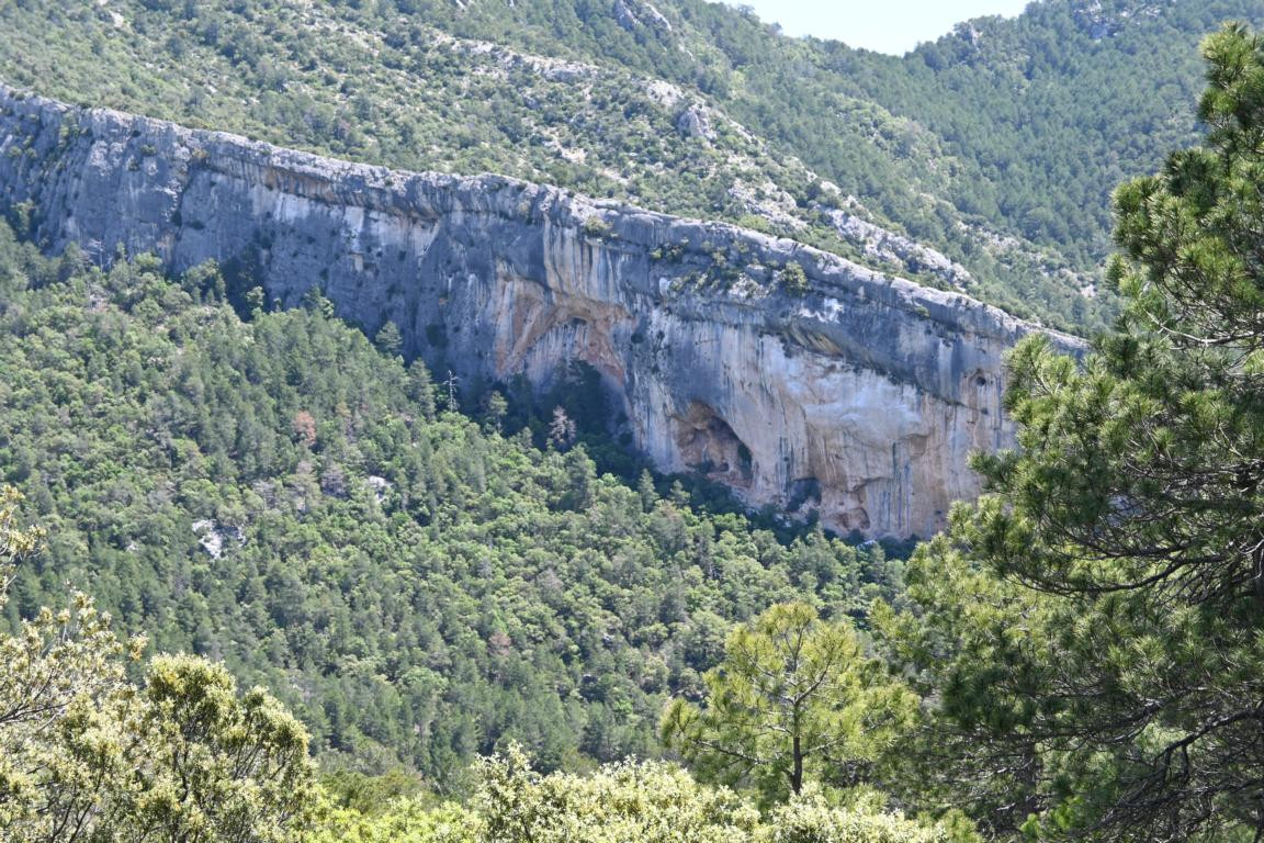 Klicke auf die Grafik für eine vergrößerte Ansicht

Name: DSC_2495.jpg
Ansichten: 38
Größe: 386,1 KB
ID: 3354308