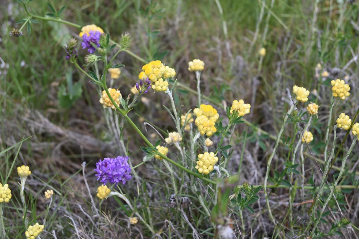 Klicke auf die Grafik für eine vergrößerte Ansicht

Name: DSC_2545.jpg
Ansichten: 38
Größe: 224,2 KB
ID: 3354286