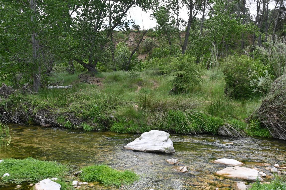 Klicke auf die Grafik für eine vergrößerte Ansicht

Name: DSC_2563.jpg
Ansichten: 37
Größe: 375,6 KB
ID: 3354291