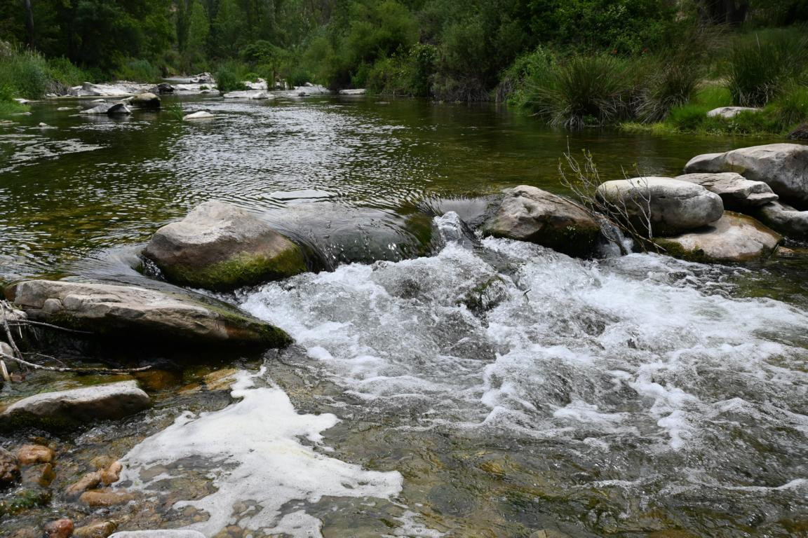 Klicke auf die Grafik für eine vergrößerte Ansicht

Name: DSC_2566.jpg
Ansichten: 37
Größe: 305,4 KB
ID: 3354292