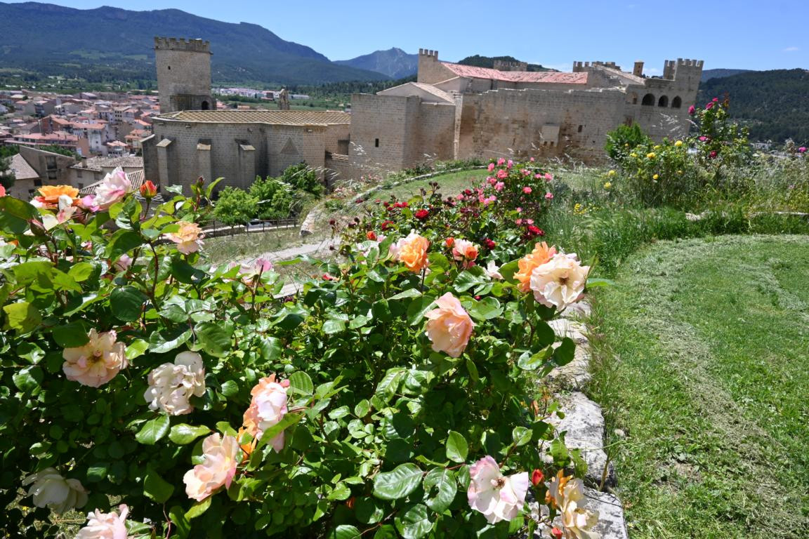 Klicke auf die Grafik für eine vergrößerte Ansicht

Name: DSC_2584.jpg
Ansichten: 37
Größe: 364,2 KB
ID: 3354294