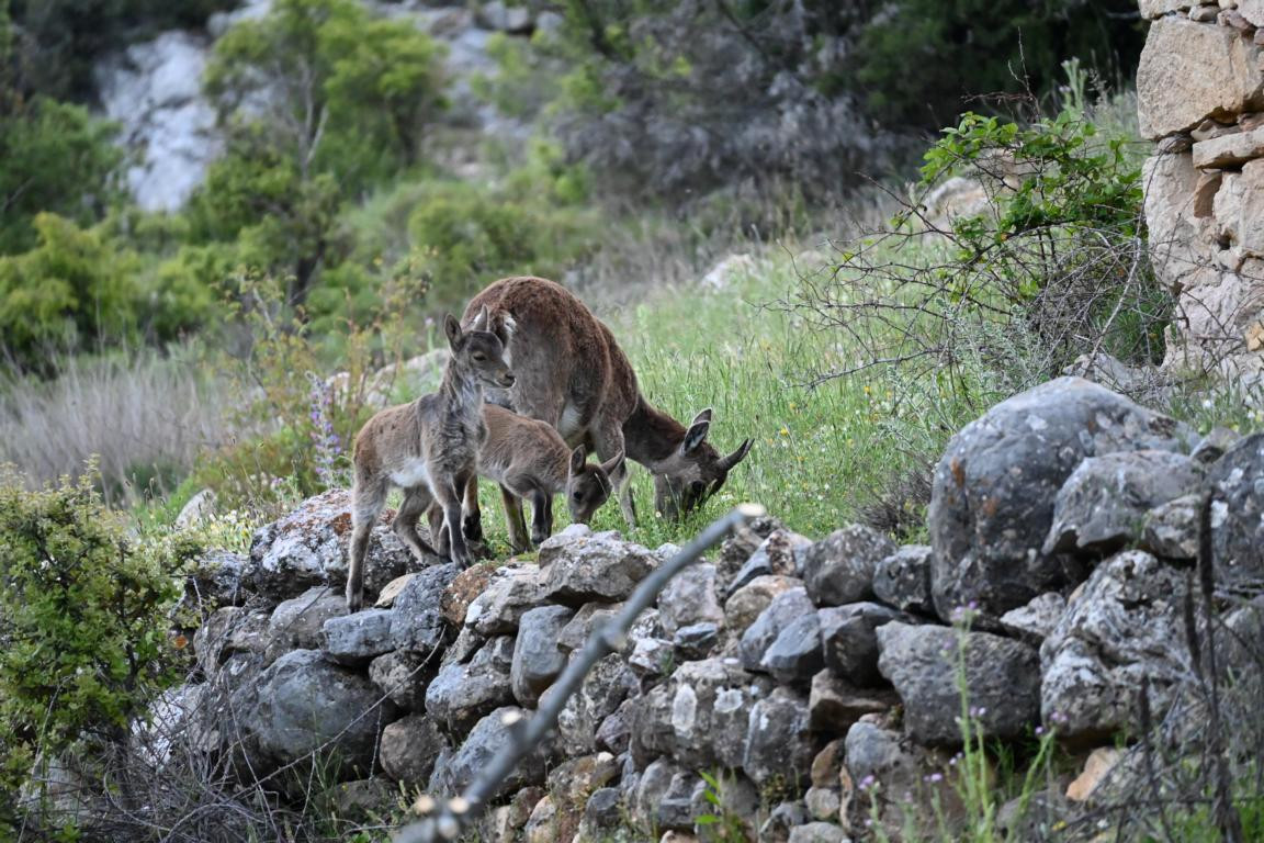 Klicke auf die Grafik für eine vergrößerte Ansicht

Name: DSC_2597.jpg
Ansichten: 37
Größe: 292,7 KB
ID: 3354296