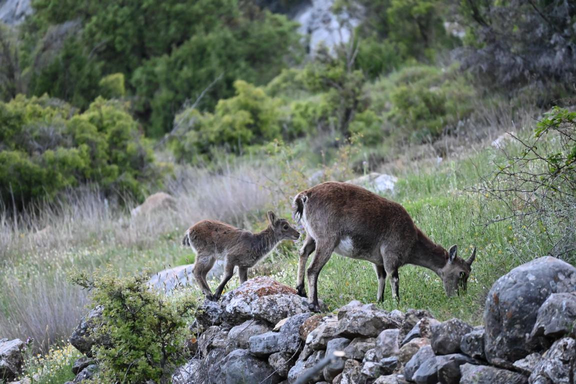 Klicke auf die Grafik für eine vergrößerte Ansicht

Name: DSC_2608.jpg
Ansichten: 37
Größe: 258,7 KB
ID: 3354297