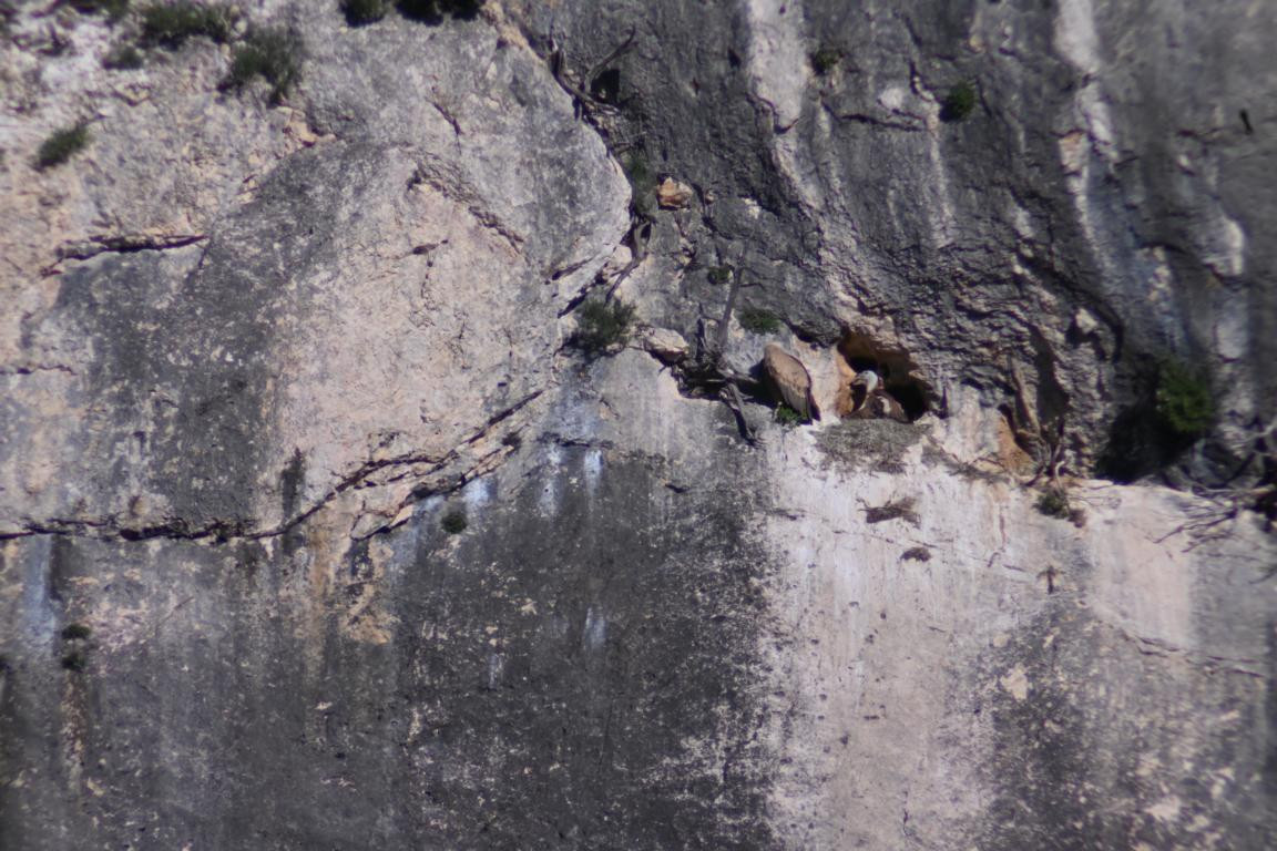 Klicke auf die Grafik für eine vergrößerte Ansicht

Name: DSC_2653.jpg
Ansichten: 37
Größe: 248,1 KB
ID: 3354298