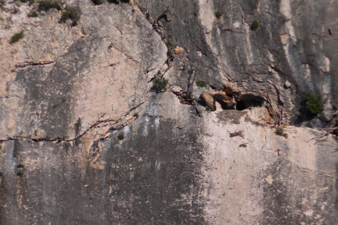 Klicke auf die Grafik für eine vergrößerte Ansicht

Name: DSC_2670.jpg
Ansichten: 37
Größe: 244,6 KB
ID: 3354299