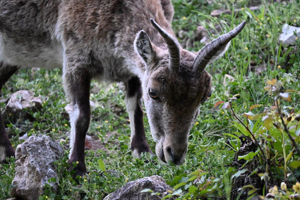 Klicke auf die Grafik für eine vergrößerte Ansicht

Name: DSC_2693.jpg
Ansichten: 37
Größe: 303,9 KB
ID: 3354300