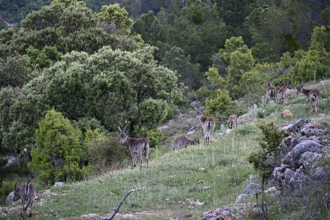 Klicke auf die Grafik für eine vergrößerte Ansicht

Name: DSC_2700.jpg
Ansichten: 37
Größe: 335,9 KB
ID: 3354301