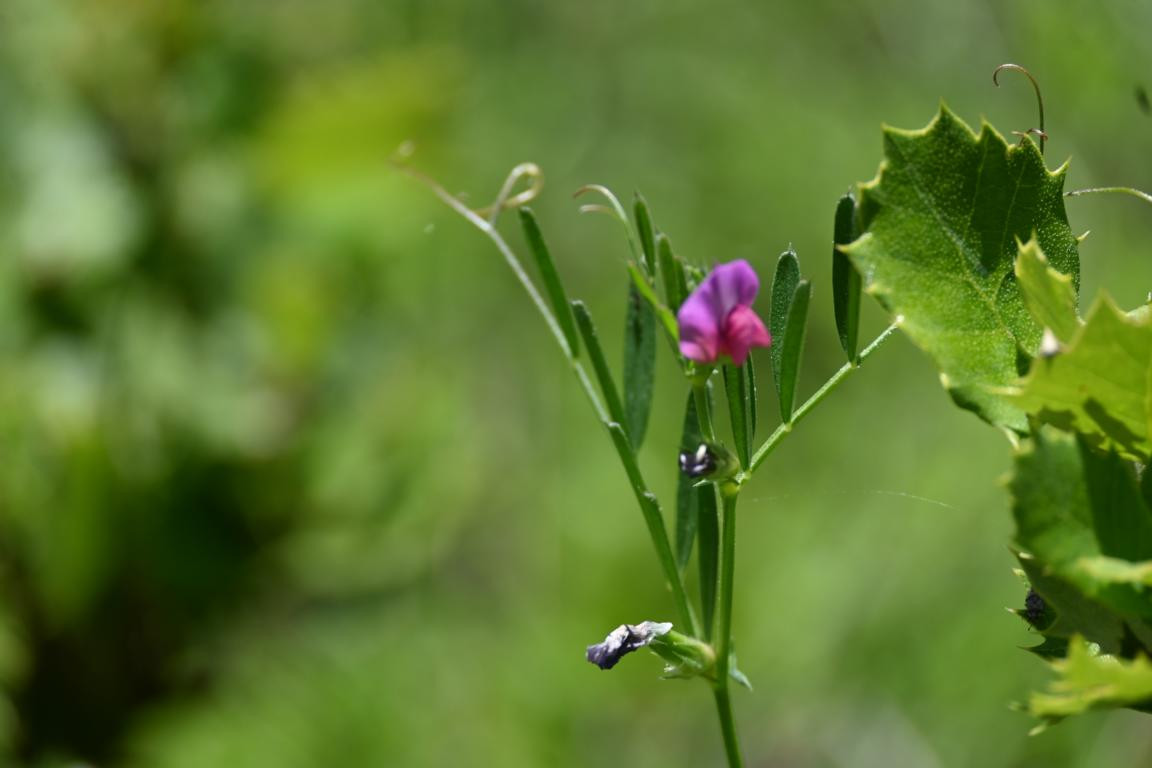 Klicke auf die Grafik für eine vergrößerte Ansicht

Name: DSC_2716.jpg
Ansichten: 36
Größe: 94,1 KB
ID: 3354303