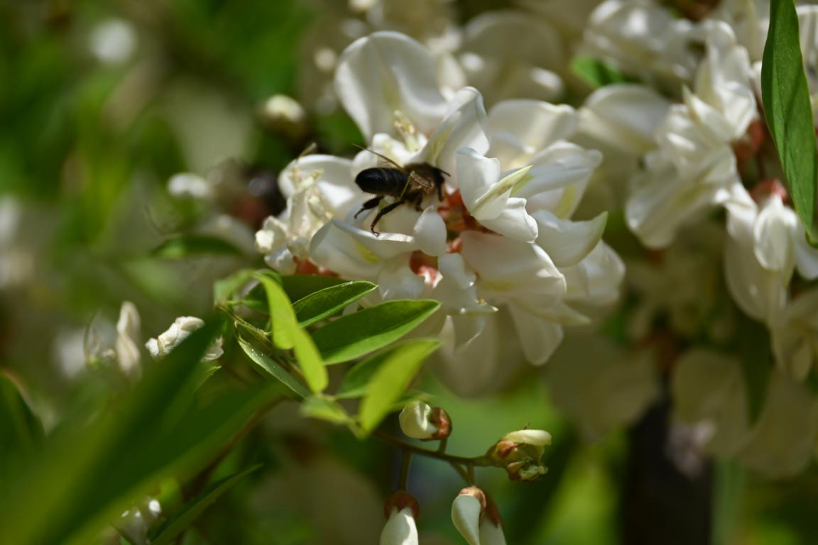 Klicke auf die Grafik für eine vergrößerte Ansicht

Name: DSC_2753.jpg
Ansichten: 36
Größe: 115,8 KB
ID: 3354307