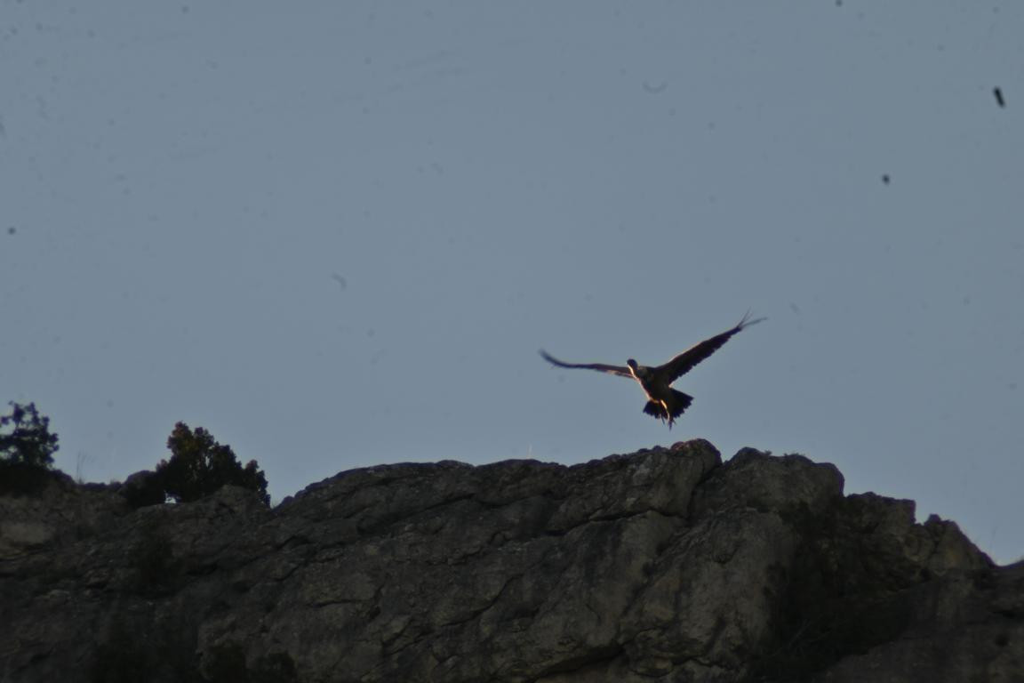 Klicke auf die Grafik für eine vergrößerte Ansicht

Name: DSC_2905.jpg
Ansichten: 30
Größe: 62,5 KB
ID: 3354314