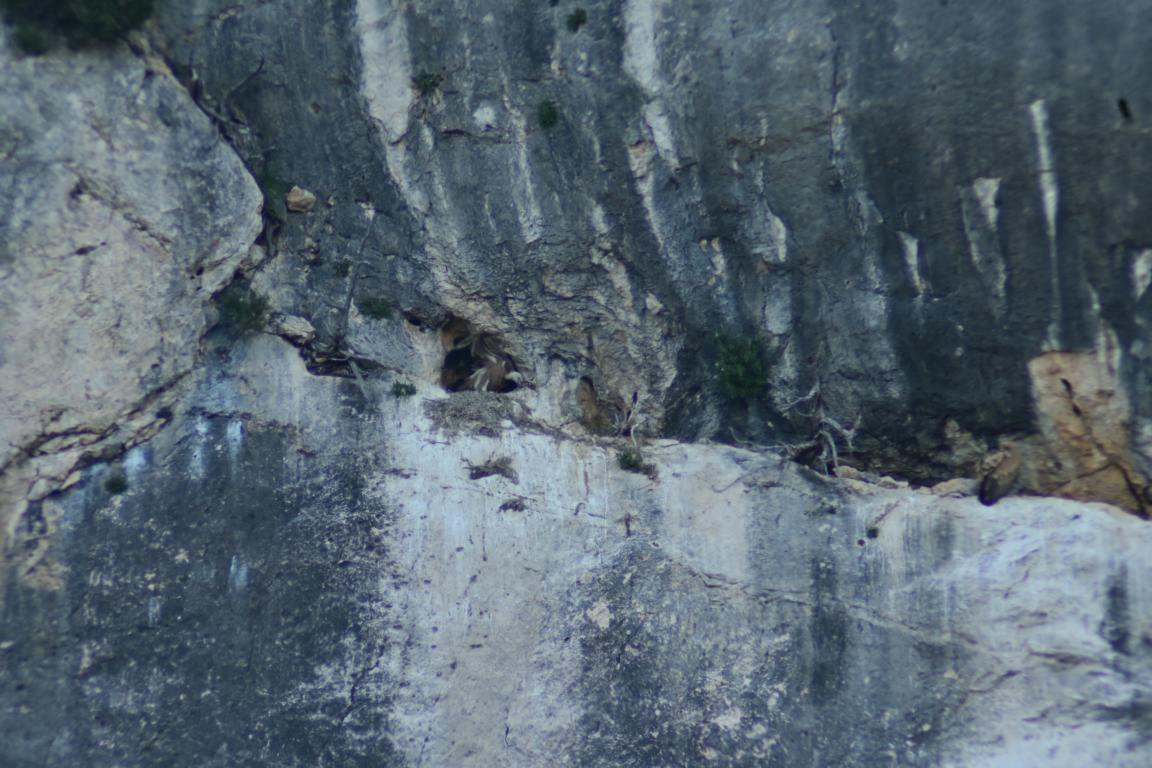 Klicke auf die Grafik für eine vergrößerte Ansicht

Name: DSC_2821.jpg
Ansichten: 30
Größe: 206,3 KB
ID: 3354312