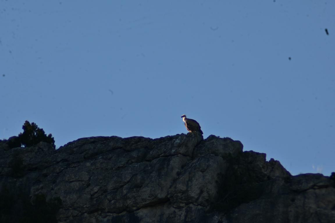 Klicke auf die Grafik für eine vergrößerte Ansicht

Name: DSC_2885.jpg
Ansichten: 30
Größe: 64,5 KB
ID: 3354313