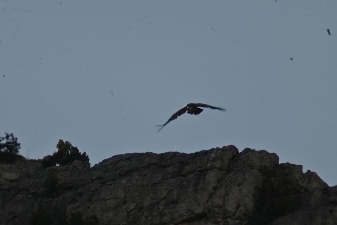 Klicke auf die Grafik für eine vergrößerte Ansicht

Name: DSC_2906.jpg
Ansichten: 30
Größe: 61,7 KB
ID: 3354315