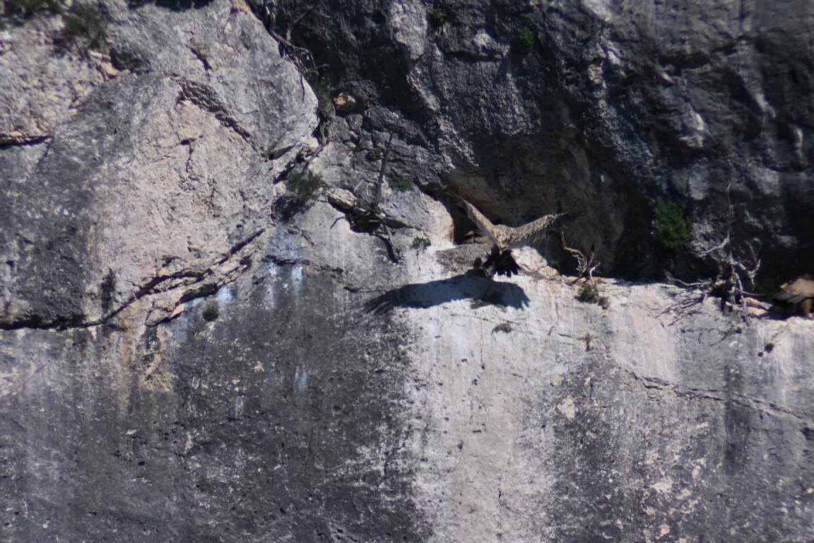 Klicke auf die Grafik für eine vergrößerte Ansicht

Name: DSC_2953.jpg
Ansichten: 30
Größe: 249,7 KB
ID: 3354317