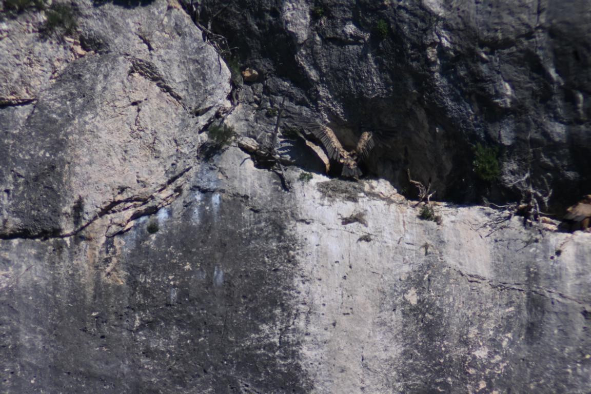 Klicke auf die Grafik für eine vergrößerte Ansicht

Name: DSC_2954.jpg
Ansichten: 30
Größe: 245,1 KB
ID: 3354318