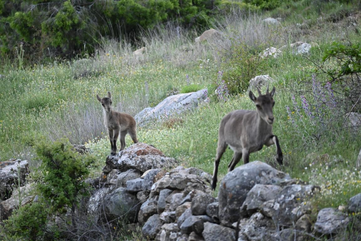 Klicke auf die Grafik für eine vergrößerte Ansicht

Name: DSC_2990.jpg
Ansichten: 30
Größe: 290,7 KB
ID: 3354319