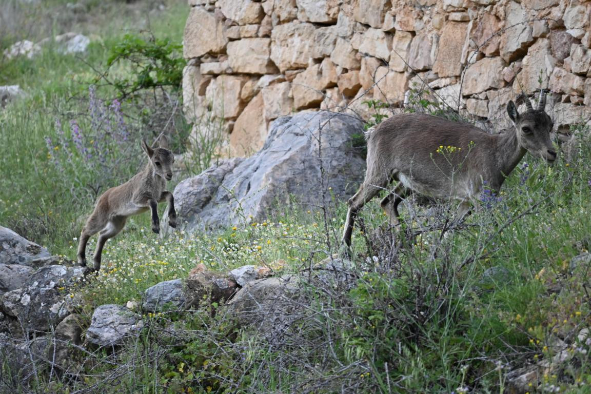 Klicke auf die Grafik für eine vergrößerte Ansicht

Name: DSC_2991.jpg
Ansichten: 30
Größe: 318,9 KB
ID: 3354320