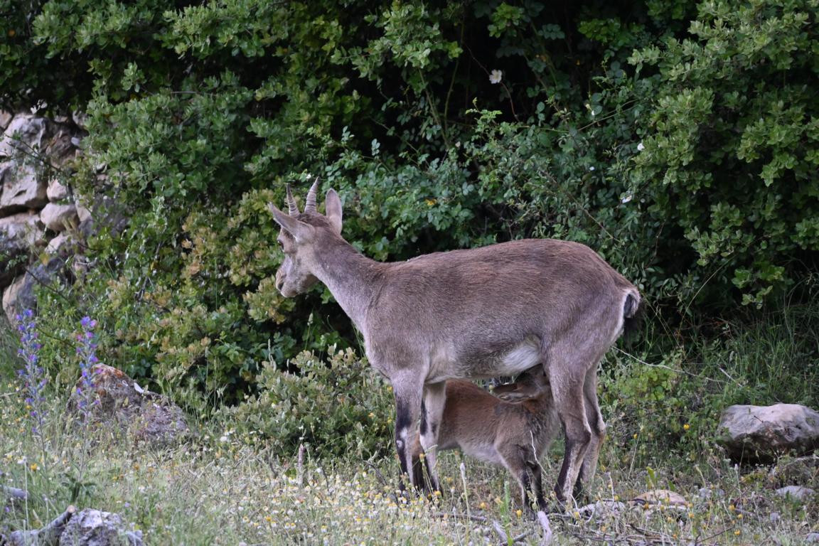 Klicke auf die Grafik für eine vergrößerte Ansicht

Name: DSC_2996.jpg
Ansichten: 30
Größe: 337,6 KB
ID: 3354321