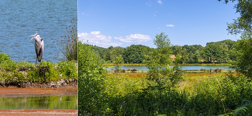 Klicke auf die Grafik für eine vergrößerte Ansicht  Name: 18 Wandern an den Seen nördlich von Belfort.jpg Ansichten: 0 Größe: 195,8 KB ID: 3354365