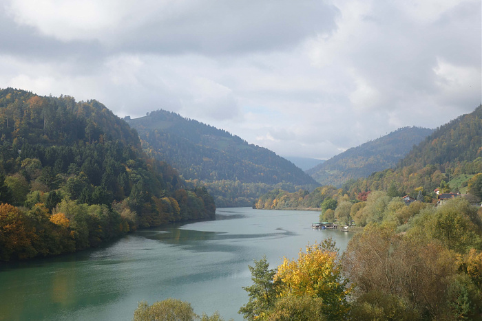 Klicke auf die Grafik für eine vergrößerte Ansicht  Name: Bunte Herbstwälder an der Drau in Slowenien.jpg Ansichten: 49 Größe: 544,2 KB ID: 3354407