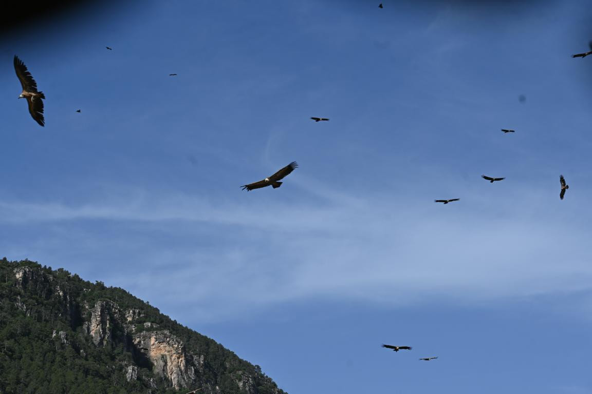 Klicke auf die Grafik für eine vergrößerte Ansicht

Name: DSC_3031.jpg
Ansichten: 0
Größe: 71,1 KB
ID: 3354473