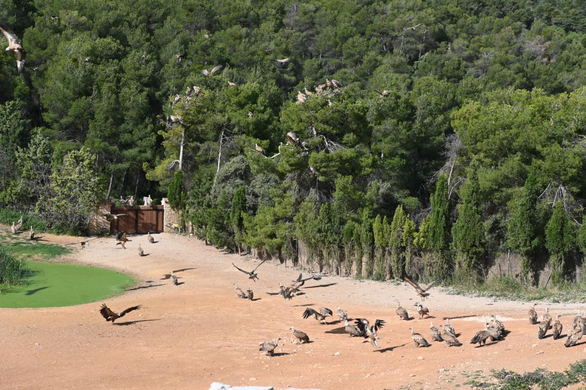 Klicke auf die Grafik für eine vergrößerte Ansicht

Name: DSC_3024.jpg
Ansichten: 0
Größe: 336,9 KB
ID: 3354474