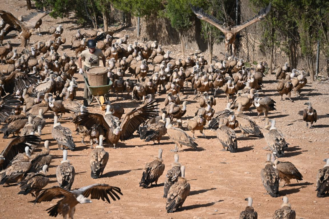 Klicke auf die Grafik für eine vergrößerte Ansicht

Name: DSC_3042.jpg
Ansichten: 0
Größe: 375,2 KB
ID: 3354475