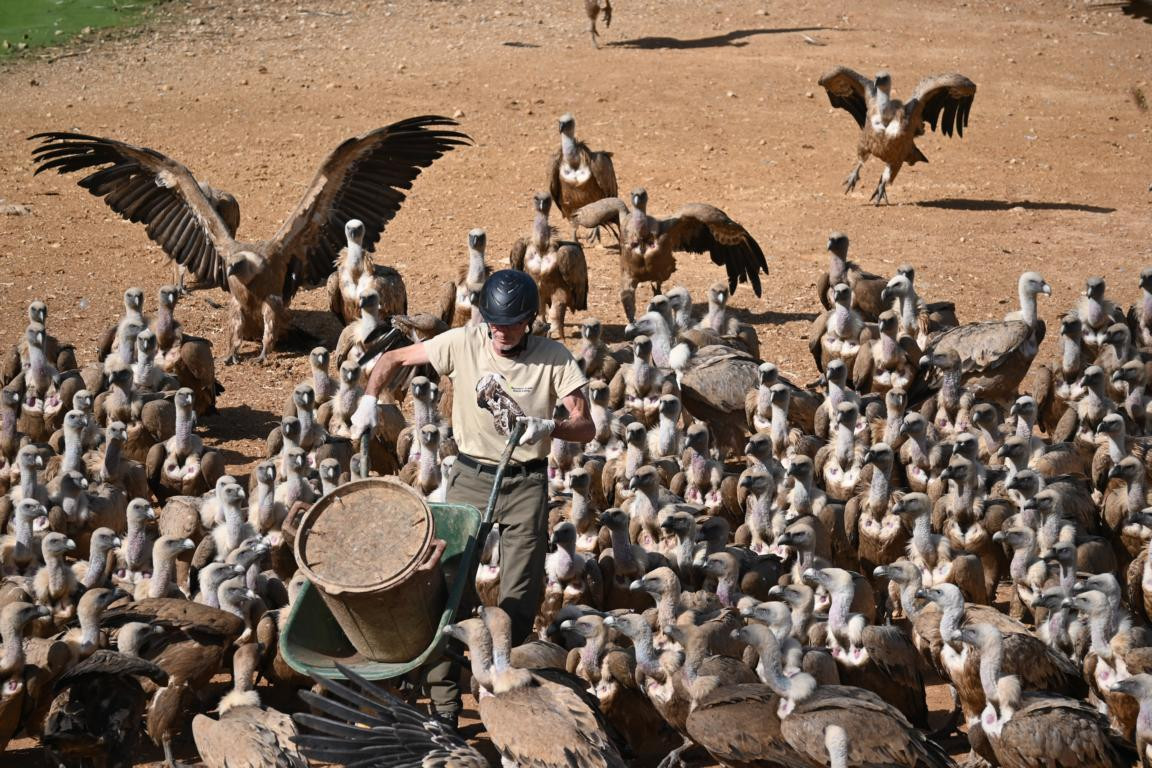 Klicke auf die Grafik für eine vergrößerte Ansicht

Name: DSC_3045.jpg
Ansichten: 0
Größe: 322,3 KB
ID: 3354476