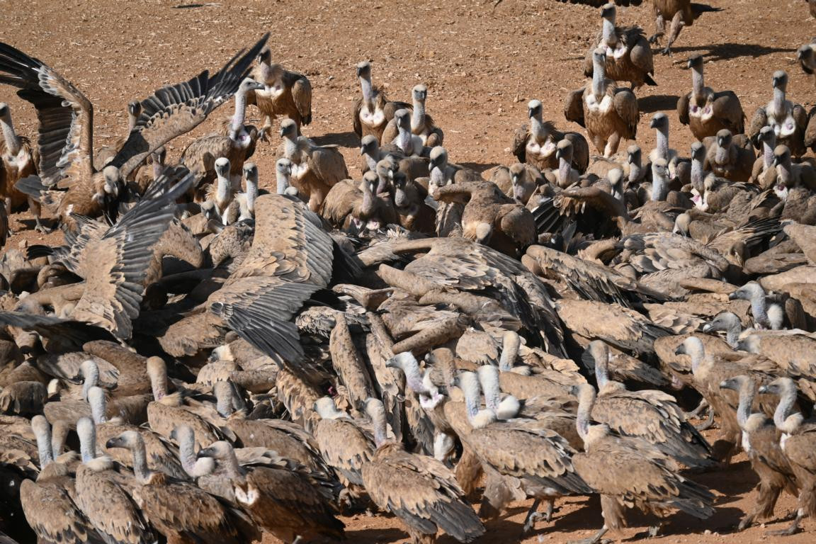 Klicke auf die Grafik für eine vergrößerte Ansicht

Name: DSC_3046.jpg
Ansichten: 0
Größe: 346,9 KB
ID: 3354477