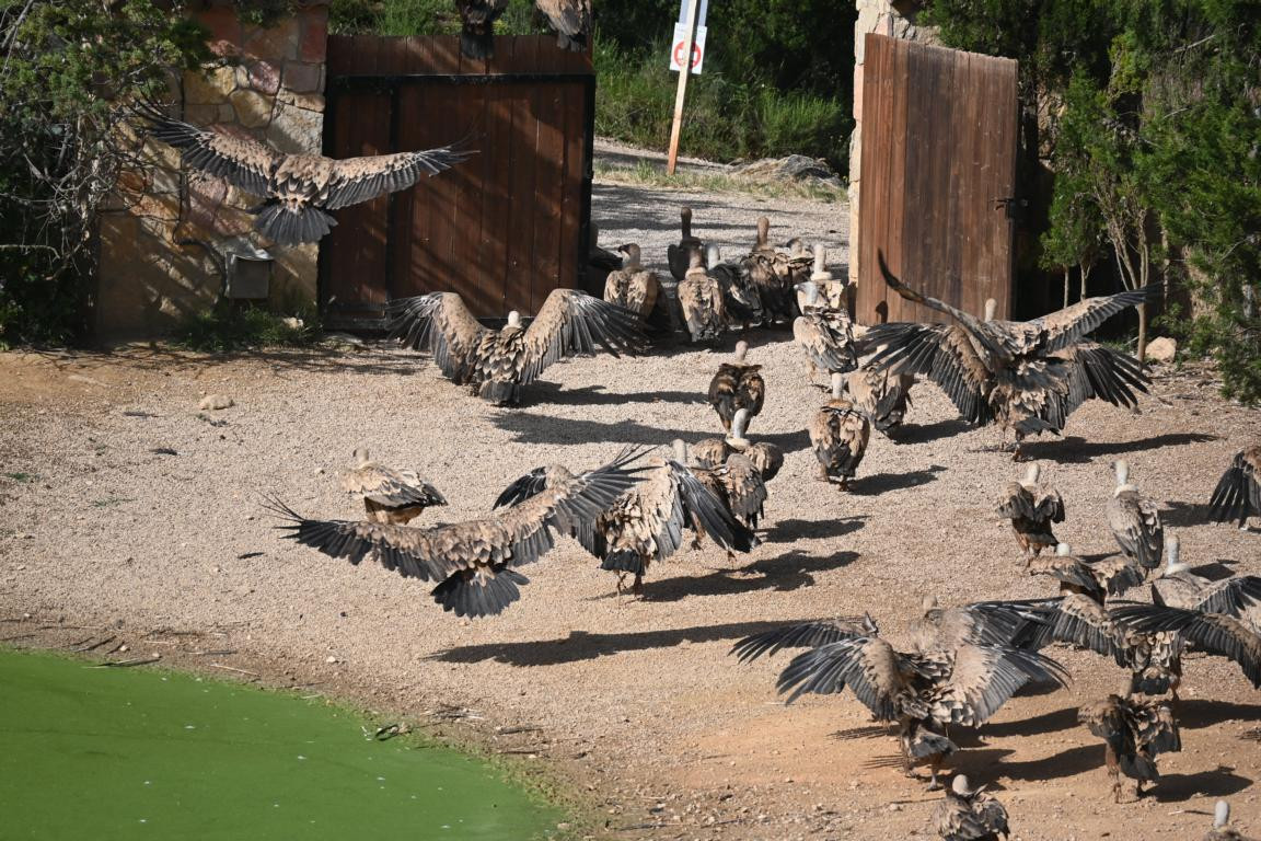 Klicke auf die Grafik für eine vergrößerte Ansicht

Name: DSC_3054.jpg
Ansichten: 0
Größe: 329,7 KB
ID: 3354479