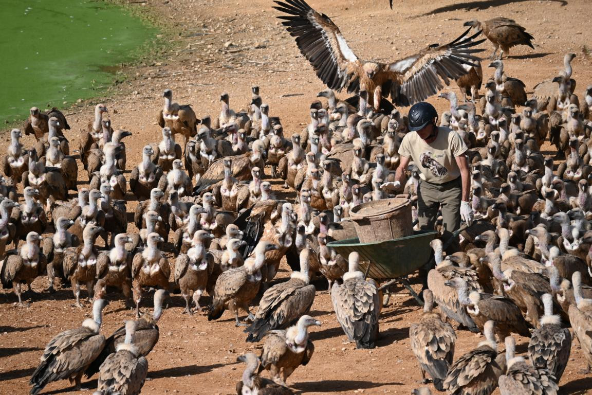 Klicke auf die Grafik für eine vergrößerte Ansicht

Name: DSC_3063.jpg
Ansichten: 0
Größe: 353,4 KB
ID: 3354480