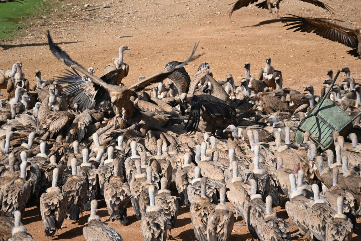 Klicke auf die Grafik für eine vergrößerte Ansicht

Name: DSC_3071.jpg
Ansichten: 0
Größe: 349,2 KB
ID: 3354482