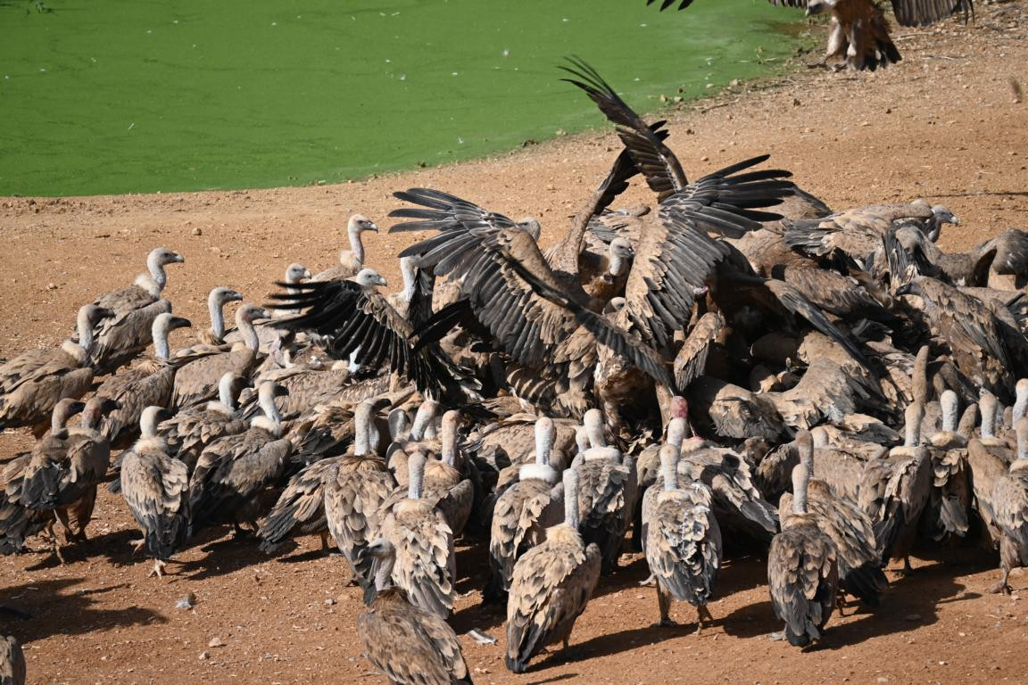 Klicke auf die Grafik für eine vergrößerte Ansicht

Name: DSC_3073.jpg
Ansichten: 0
Größe: 316,0 KB
ID: 3354483