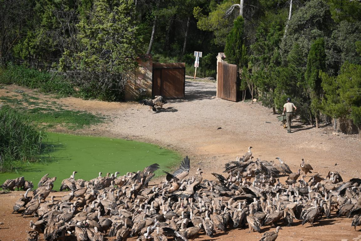 Klicke auf die Grafik für eine vergrößerte Ansicht

Name: DSC_3116.jpg
Ansichten: 0
Größe: 360,1 KB
ID: 3354484