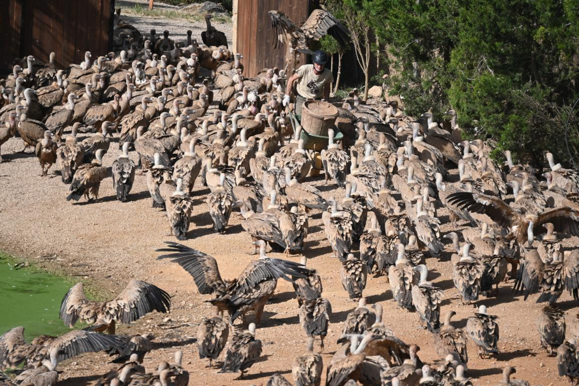 Klicke auf die Grafik für eine vergrößerte Ansicht

Name: DSC_3089.jpg
Ansichten: 0
Größe: 375,4 KB
ID: 3354485