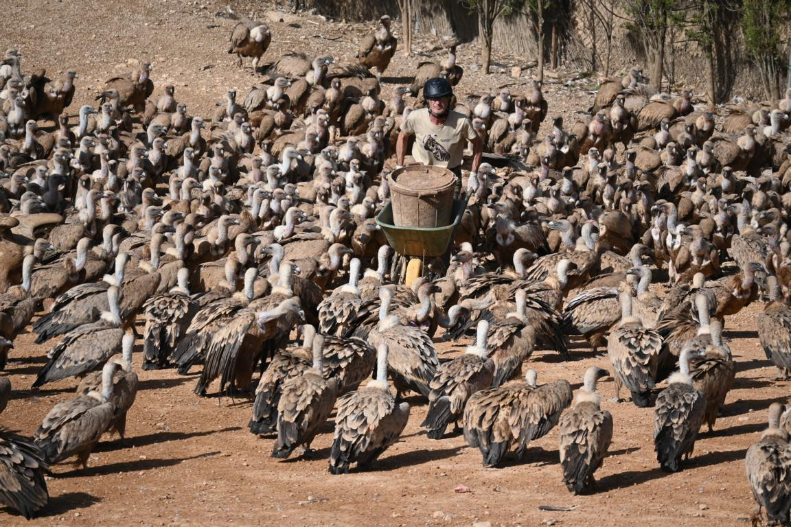 Klicke auf die Grafik für eine vergrößerte Ansicht

Name: DSC_3094.jpg
Ansichten: 0
Größe: 376,1 KB
ID: 3354486