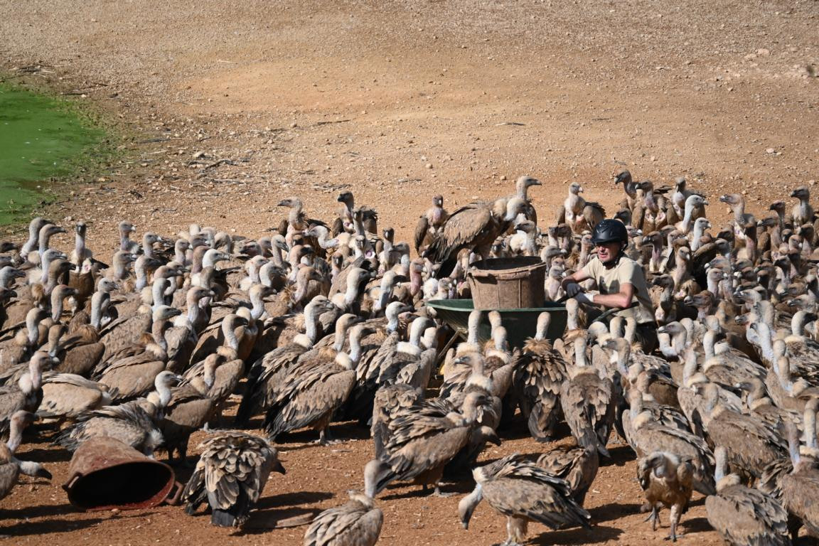 Klicke auf die Grafik für eine vergrößerte Ansicht

Name: DSC_3099.jpg
Ansichten: 0
Größe: 352,7 KB
ID: 3354487