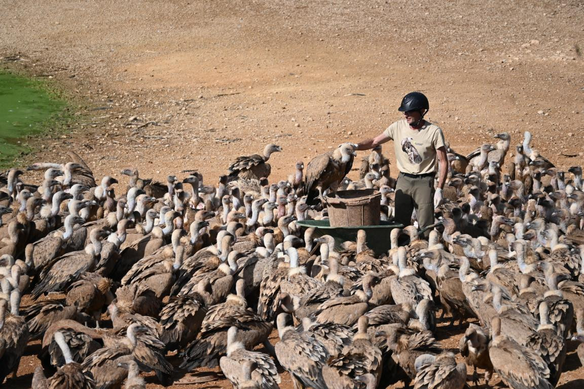 Klicke auf die Grafik für eine vergrößerte Ansicht

Name: DSC_3104.jpg
Ansichten: 0
Größe: 349,0 KB
ID: 3354488