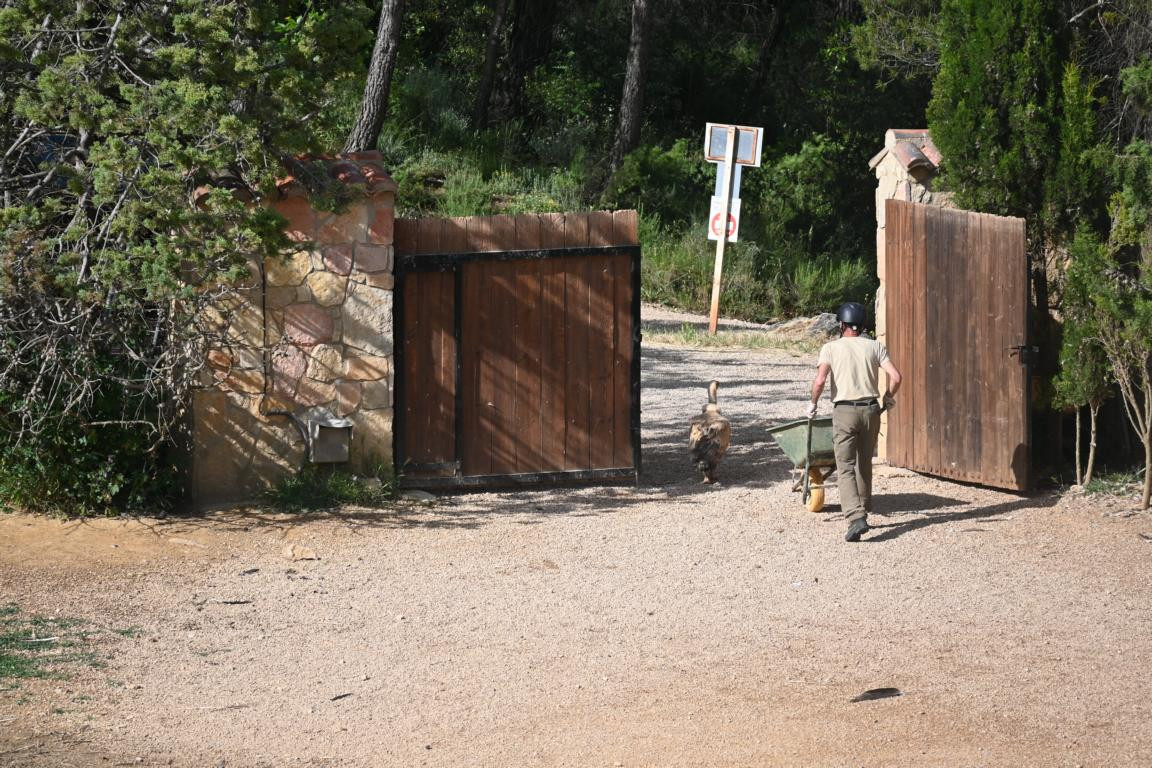 Klicke auf die Grafik für eine vergrößerte Ansicht

Name: DSC_3117.jpg
Ansichten: 0
Größe: 331,3 KB
ID: 3354489