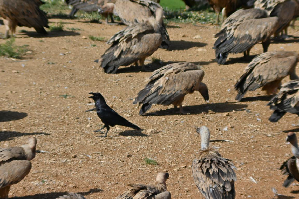 Klicke auf die Grafik für eine vergrößerte Ansicht

Name: DSC_3157.jpg
Ansichten: 0
Größe: 251,8 KB
ID: 3354490