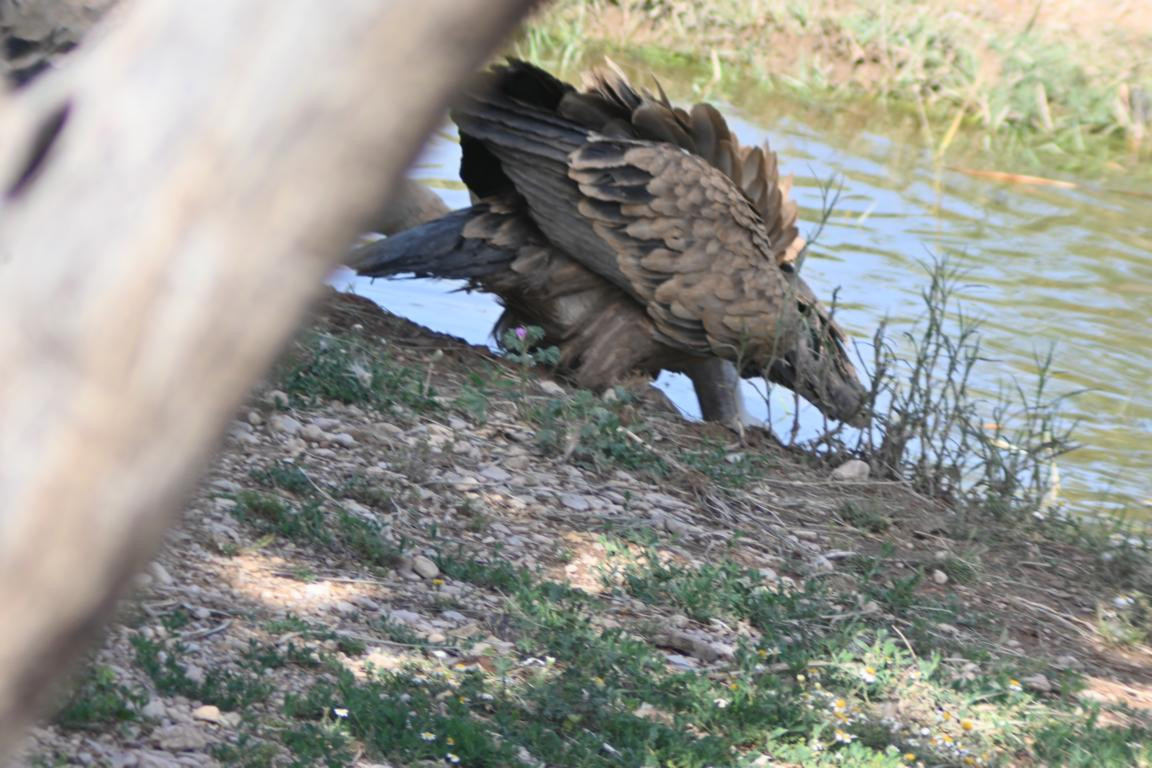 Klicke auf die Grafik für eine vergrößerte Ansicht

Name: DSC_3166.jpg
Ansichten: 0
Größe: 217,0 KB
ID: 3354491