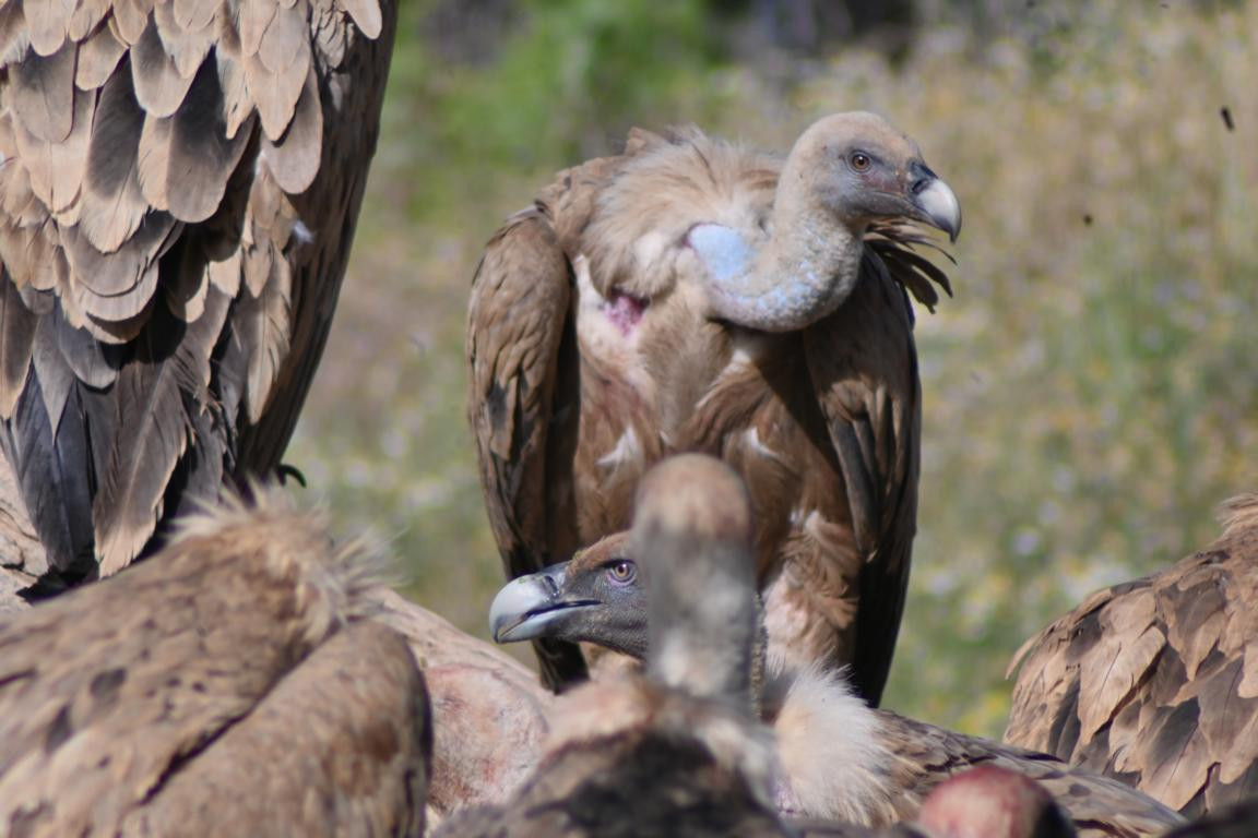 Klicke auf die Grafik für eine vergrößerte Ansicht

Name: DSC_3215.jpg
Ansichten: 0
Größe: 162,4 KB
ID: 3354492