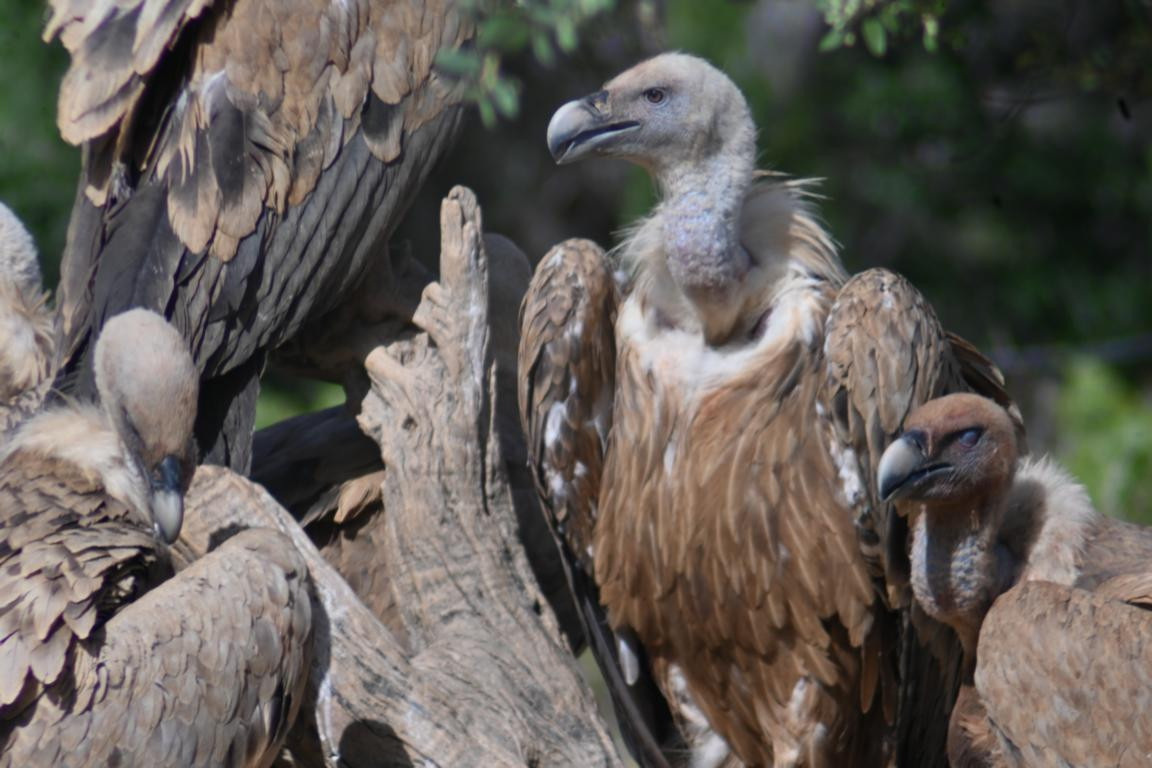 Klicke auf die Grafik für eine vergrößerte Ansicht

Name: DSC_3261.jpg
Ansichten: 0
Größe: 175,0 KB
ID: 3354493